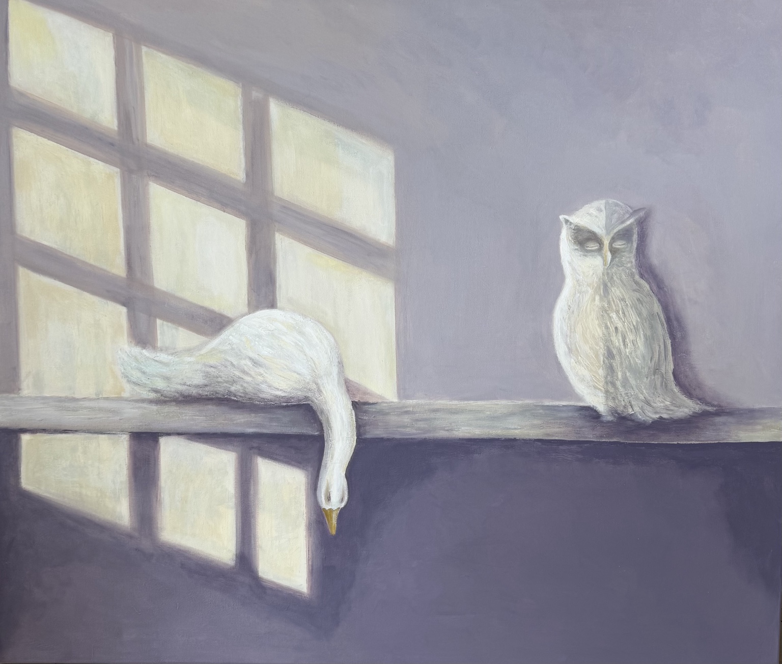 A white goose resting over a narrow shelf beside an owl, with pale window light crossing a violet-gray room.