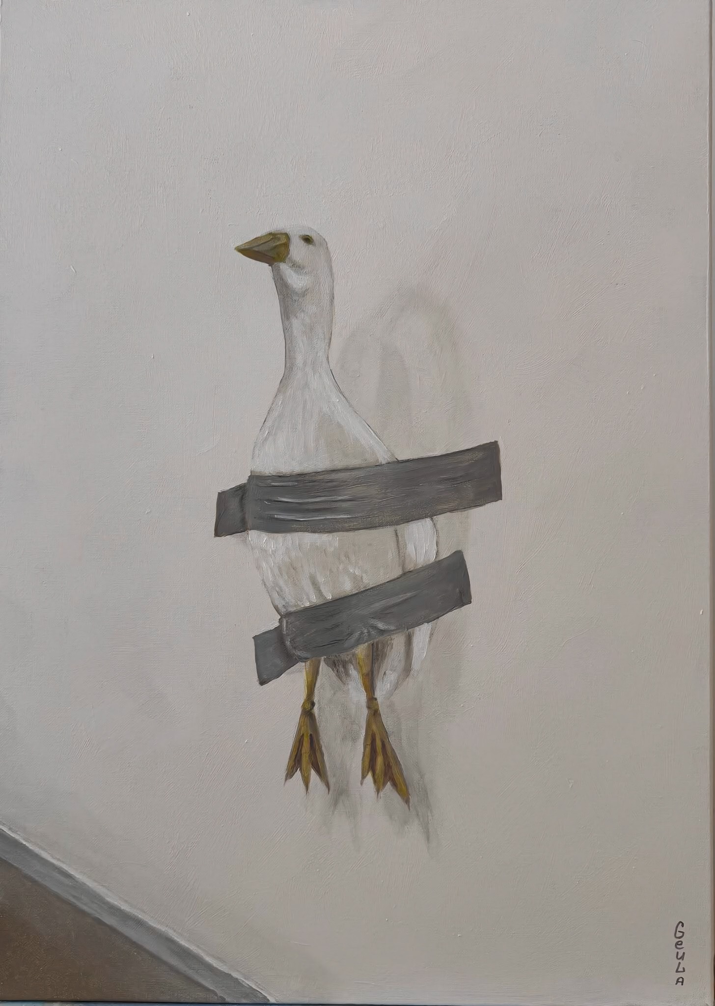 A white goose standing upright between two dark wooden boards, looking upward against a quiet pale wall.